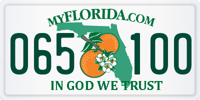 FL license plate 0651OO