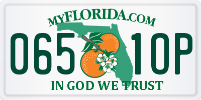 FL license plate 0651OP