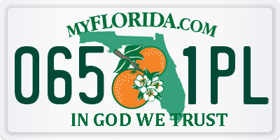 FL license plate 0651PL