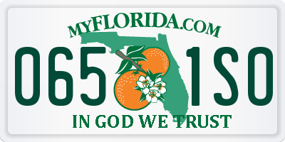 FL license plate 0651SO