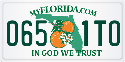 FL license plate 0651TO
