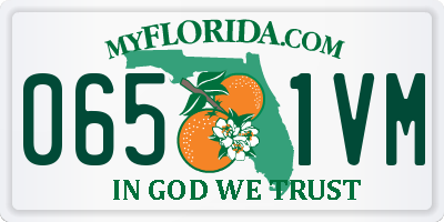 FL license plate 0651VM