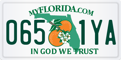 FL license plate 0651YA