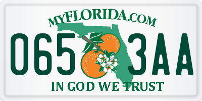 FL license plate 0653AA