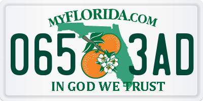 FL license plate 0653AD