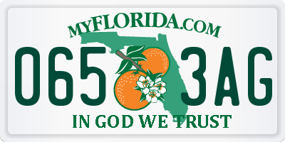 FL license plate 0653AG