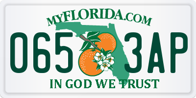 FL license plate 0653AP