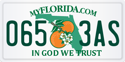 FL license plate 0653AS