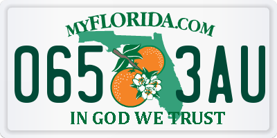 FL license plate 0653AU