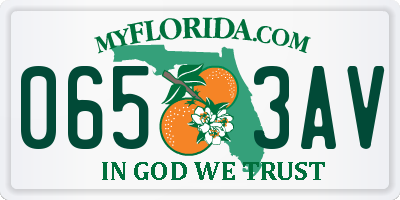 FL license plate 0653AV