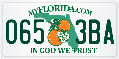FL license plate 0653BA