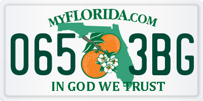 FL license plate 0653BG