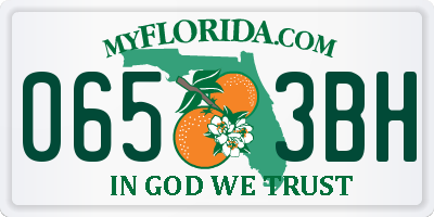 FL license plate 0653BH