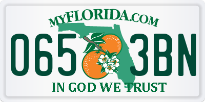 FL license plate 0653BN