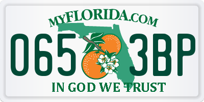 FL license plate 0653BP