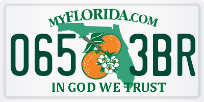 FL license plate 0653BR