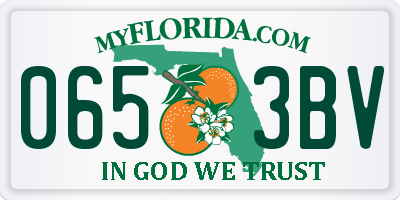 FL license plate 0653BV