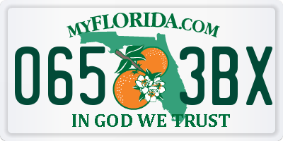 FL license plate 0653BX