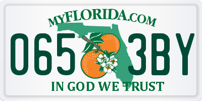 FL license plate 0653BY