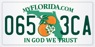 FL license plate 0653CA