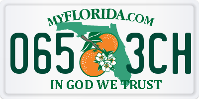 FL license plate 0653CH