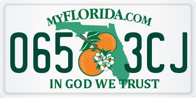 FL license plate 0653CJ