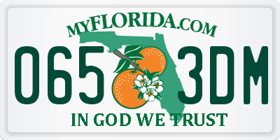 FL license plate 0653DM