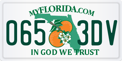 FL license plate 0653DV