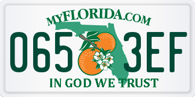 FL license plate 0653EF
