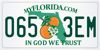 FL license plate 0653EM