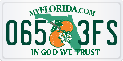 FL license plate 0653FS