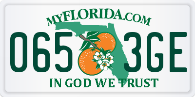 FL license plate 0653GE