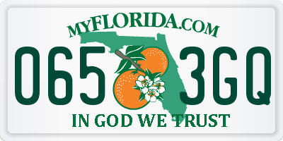FL license plate 0653GQ