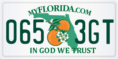 FL license plate 0653GT