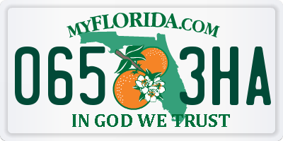 FL license plate 0653HA