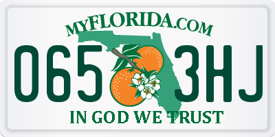 FL license plate 0653HJ