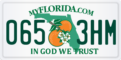 FL license plate 0653HM