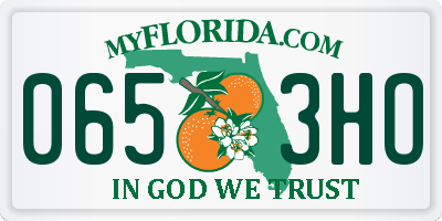 FL license plate 0653HO
