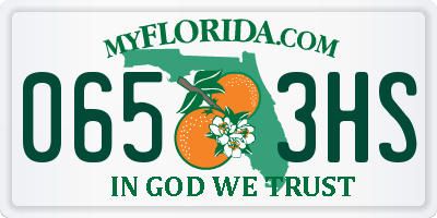 FL license plate 0653HS