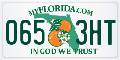 FL license plate 0653HT