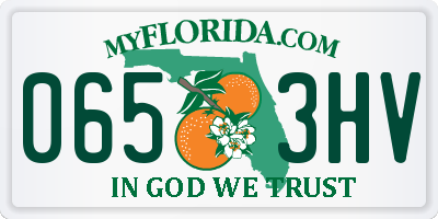 FL license plate 0653HV