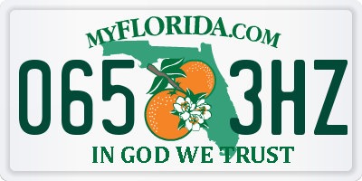 FL license plate 0653HZ