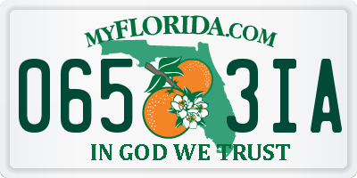 FL license plate 0653IA