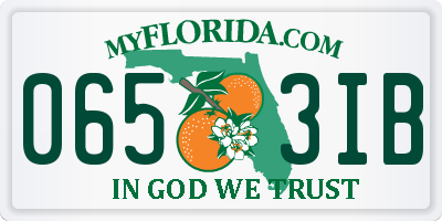 FL license plate 0653IB