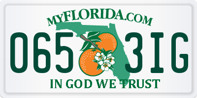 FL license plate 0653IG