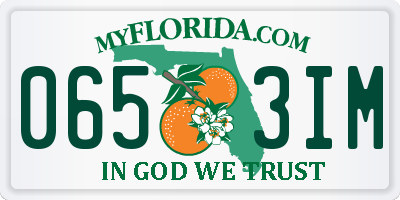 FL license plate 0653IM