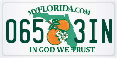 FL license plate 0653IN