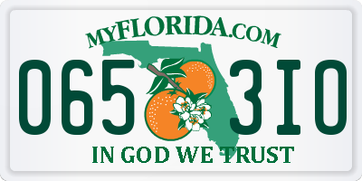 FL license plate 0653IO