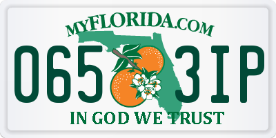 FL license plate 0653IP
