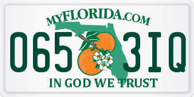 FL license plate 0653IQ